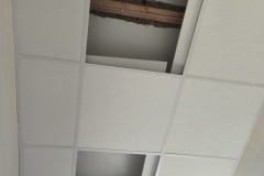 IMG_20250405_093932