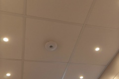 IMG_20250409_183430